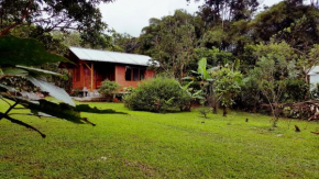 Bird Lover's House